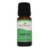 Plant Therapy Essential Oils Peppermint Front View